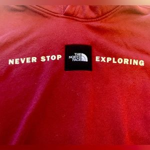 NWOT The North Face Sweatshirt in Burgandy